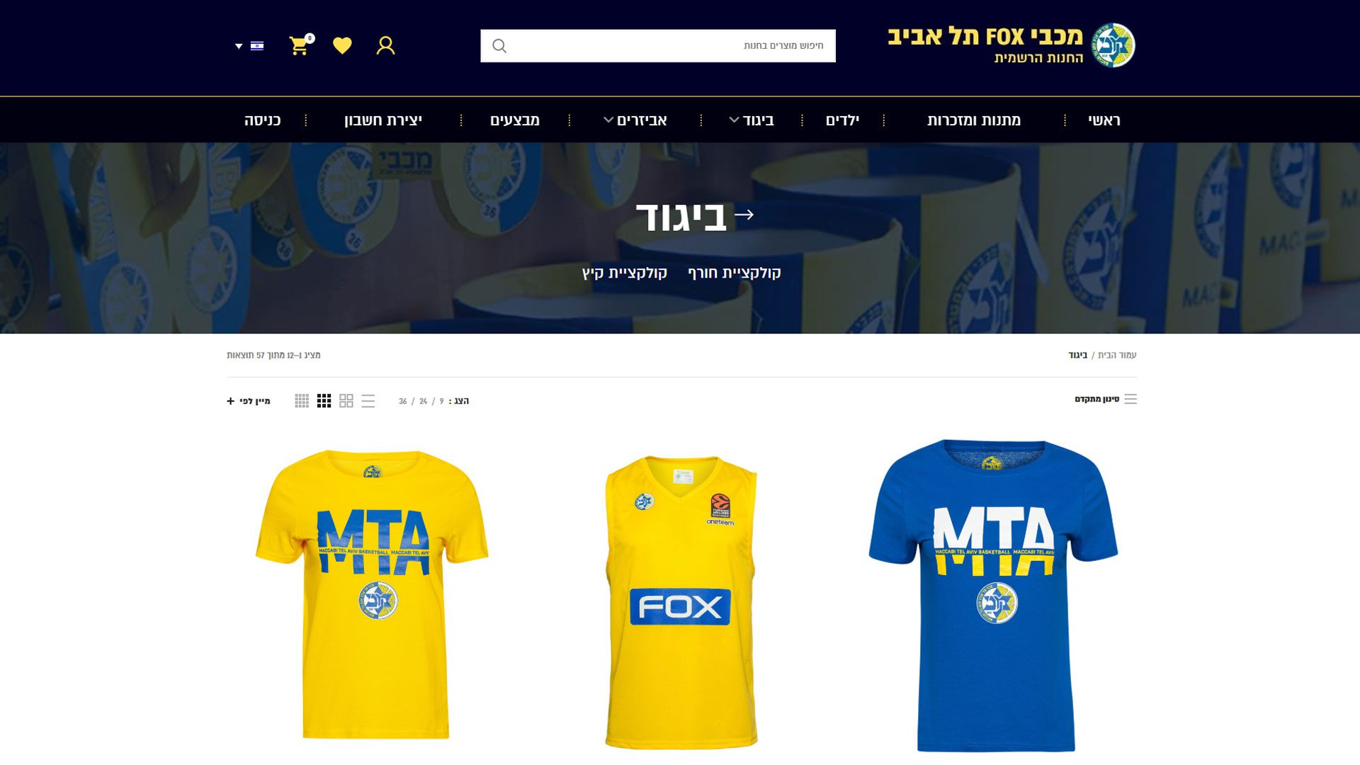 בניית אתר חנות וירטואלית