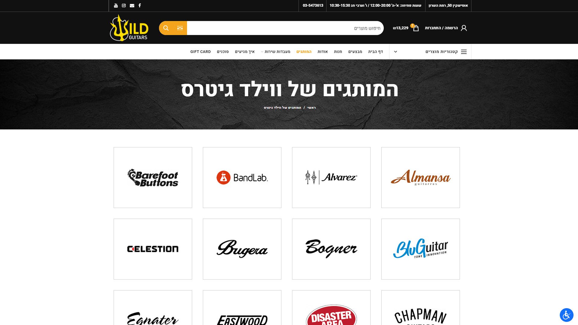 בניית אתר וורדפרס