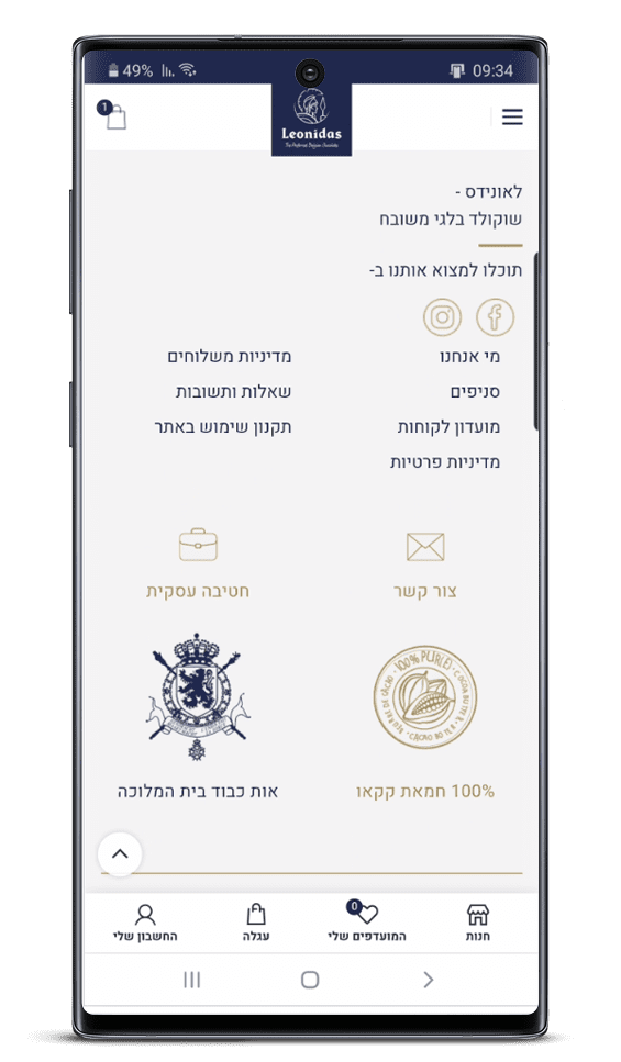 בניית אתר חנות וירטואלית