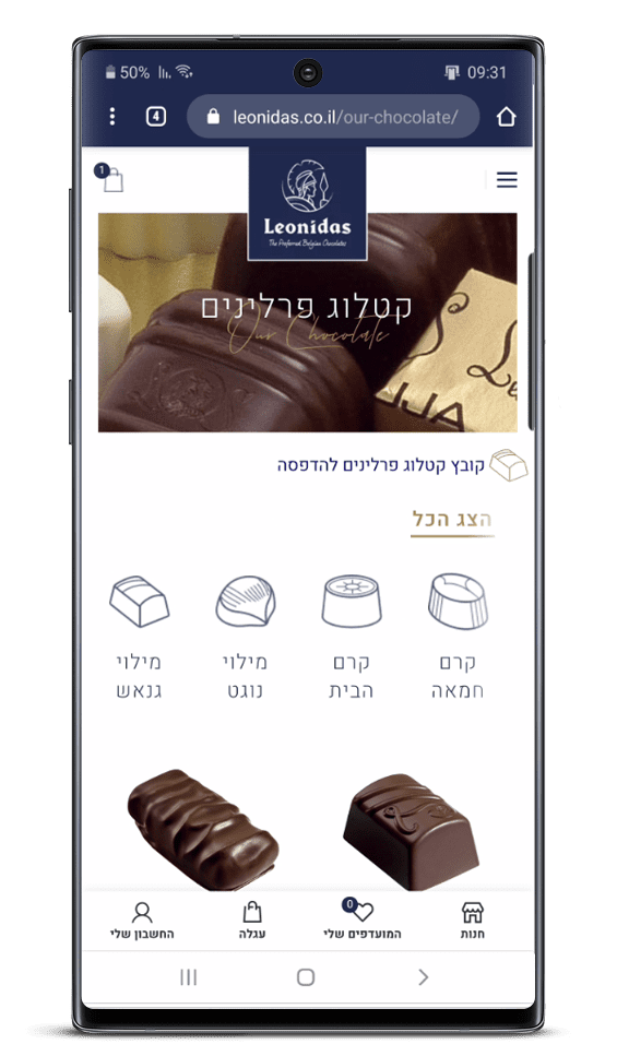 בניית אתר חנות וירטואלית