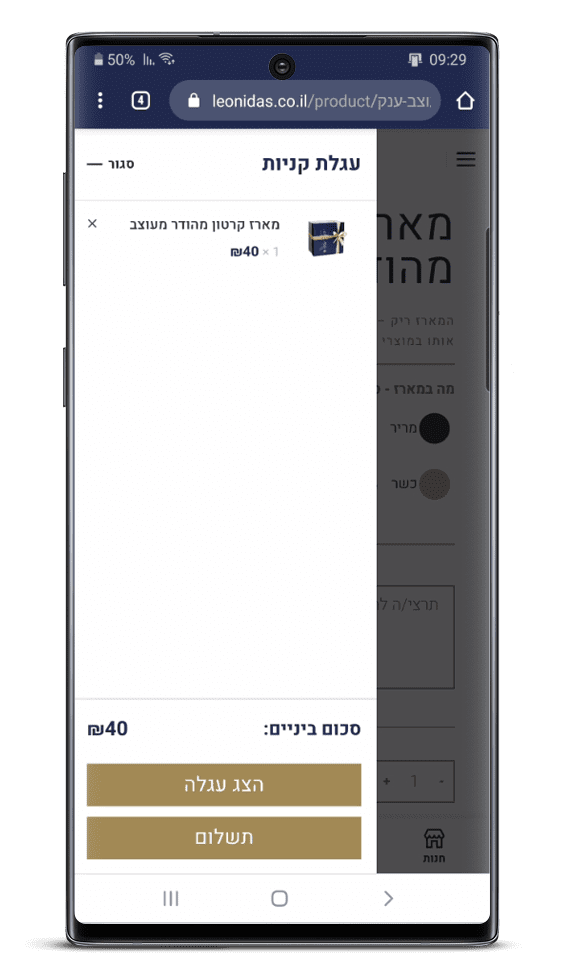 בניית אתר חנות וירטואלית