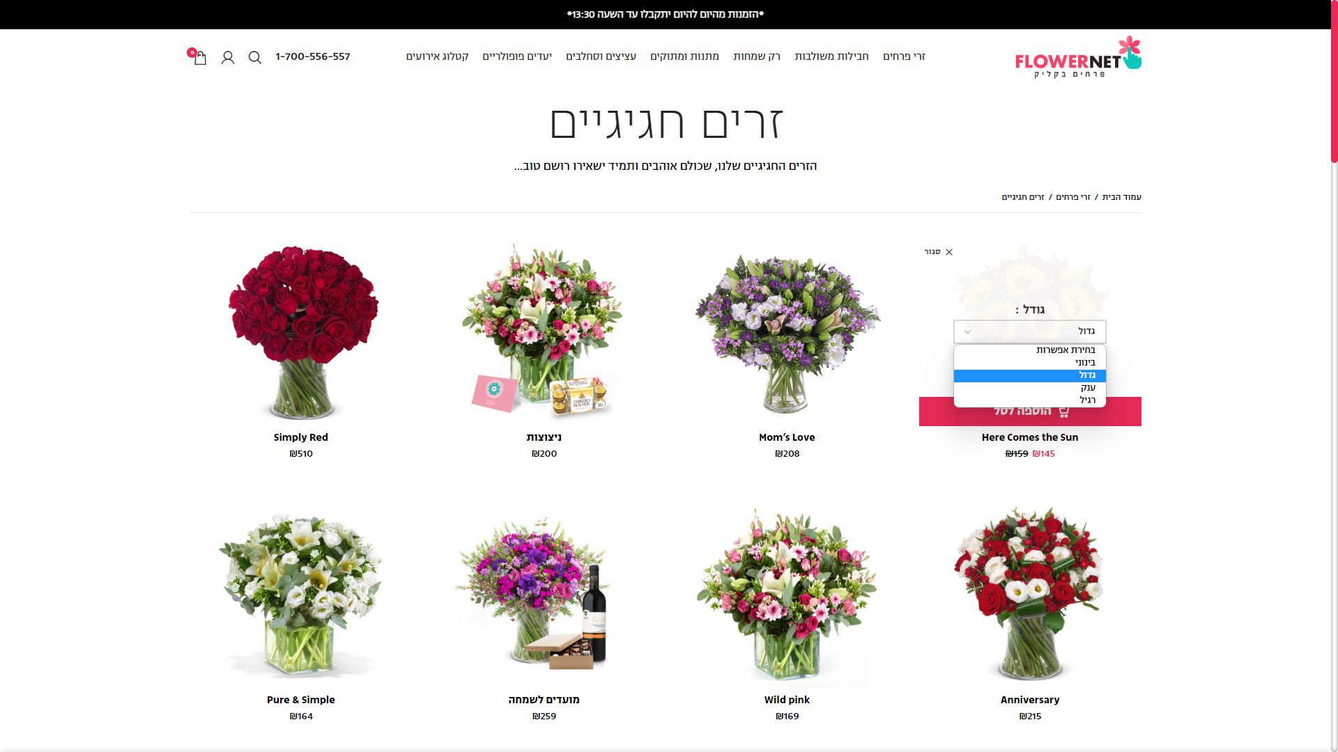 בניית אתר חנות וירטואלית