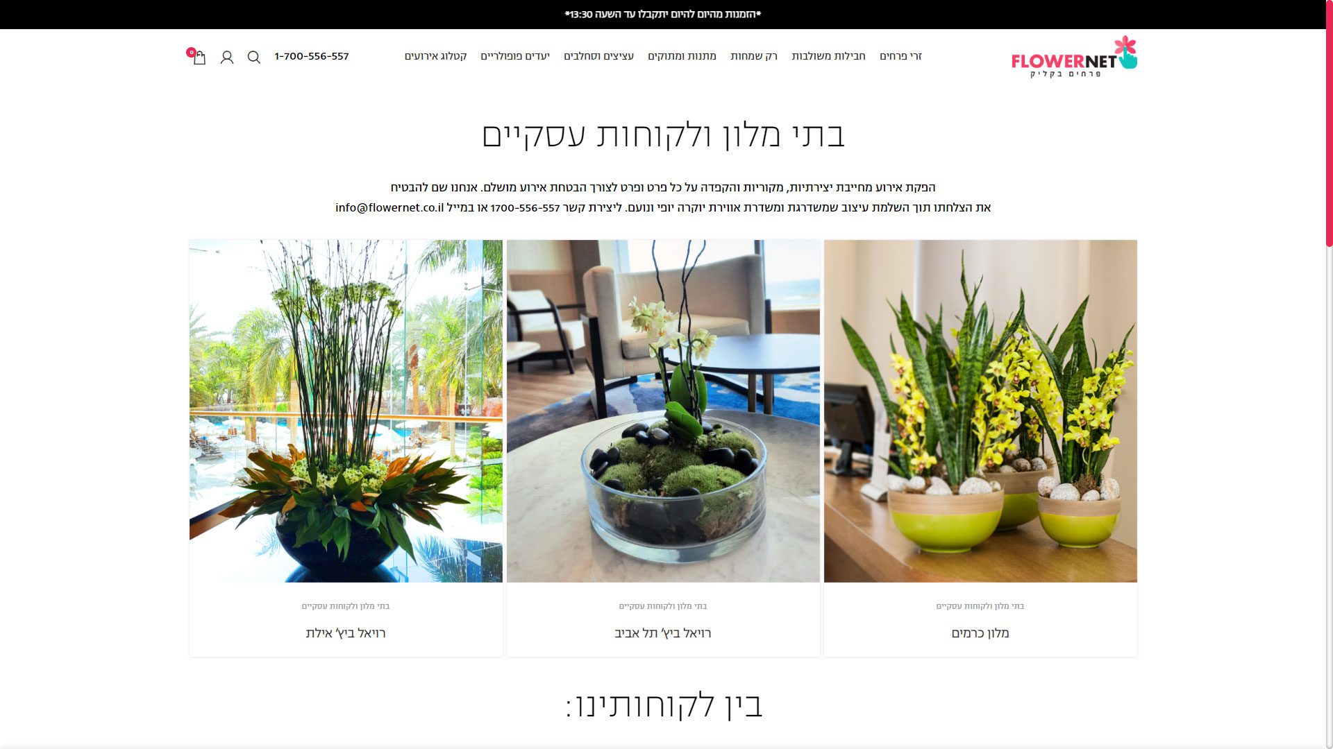 בניית אתר חנות וירטואלית