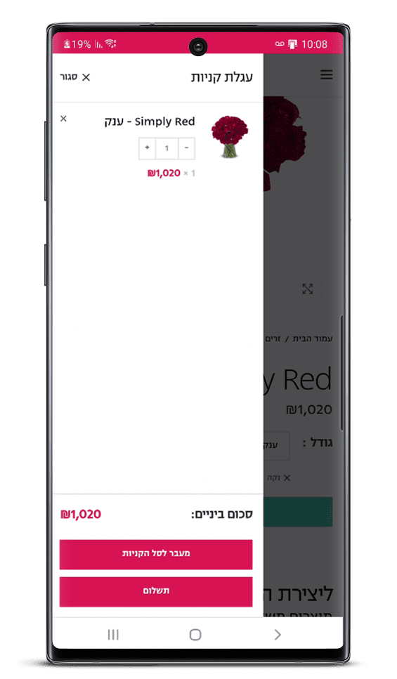 בניית אתר חנות וירטואלית