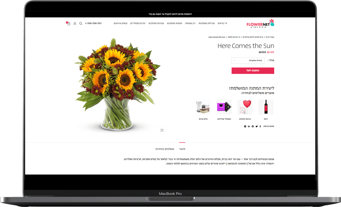 גונאמי בניית אתרים JUNAMI