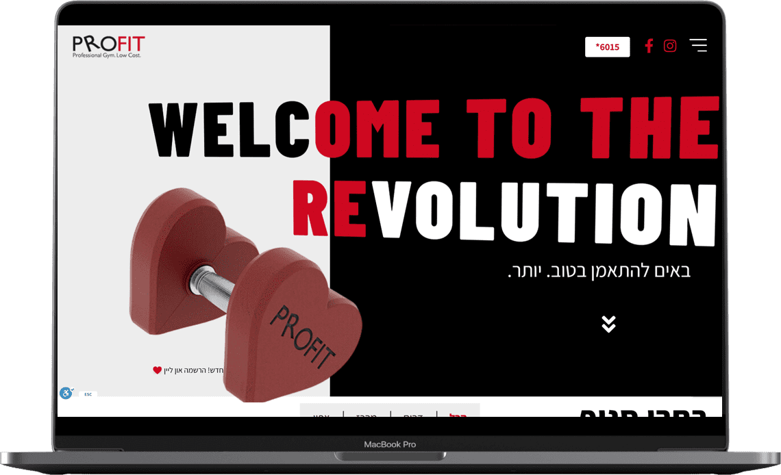 בניית אתר פרופיט