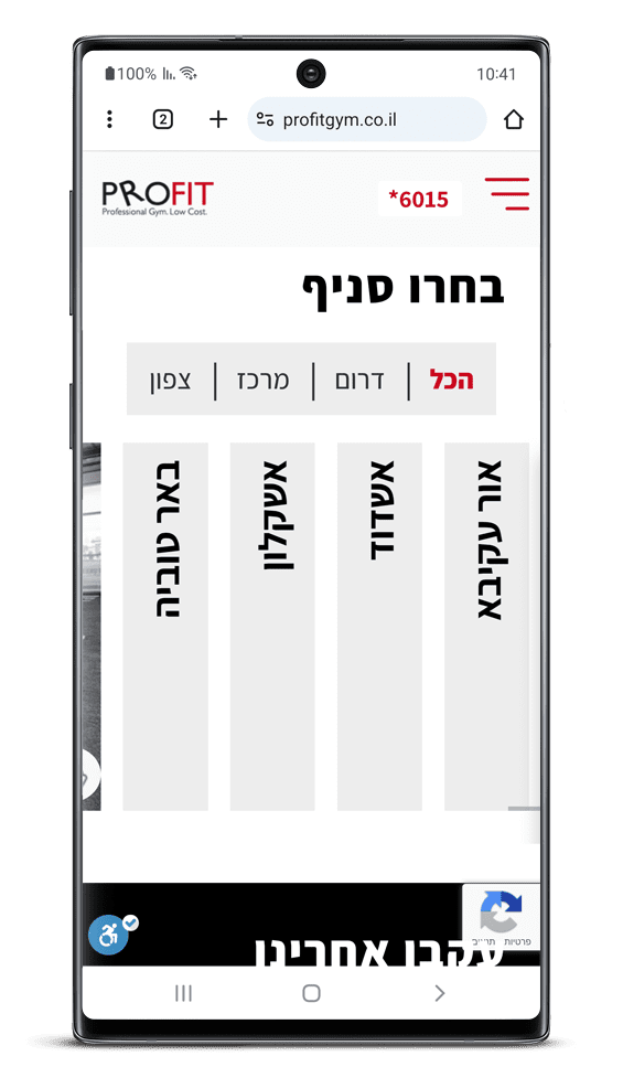 בניית אתר תדמית