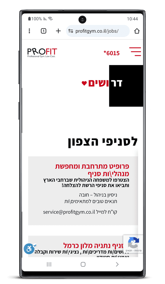 בניית אתר וורדפרס