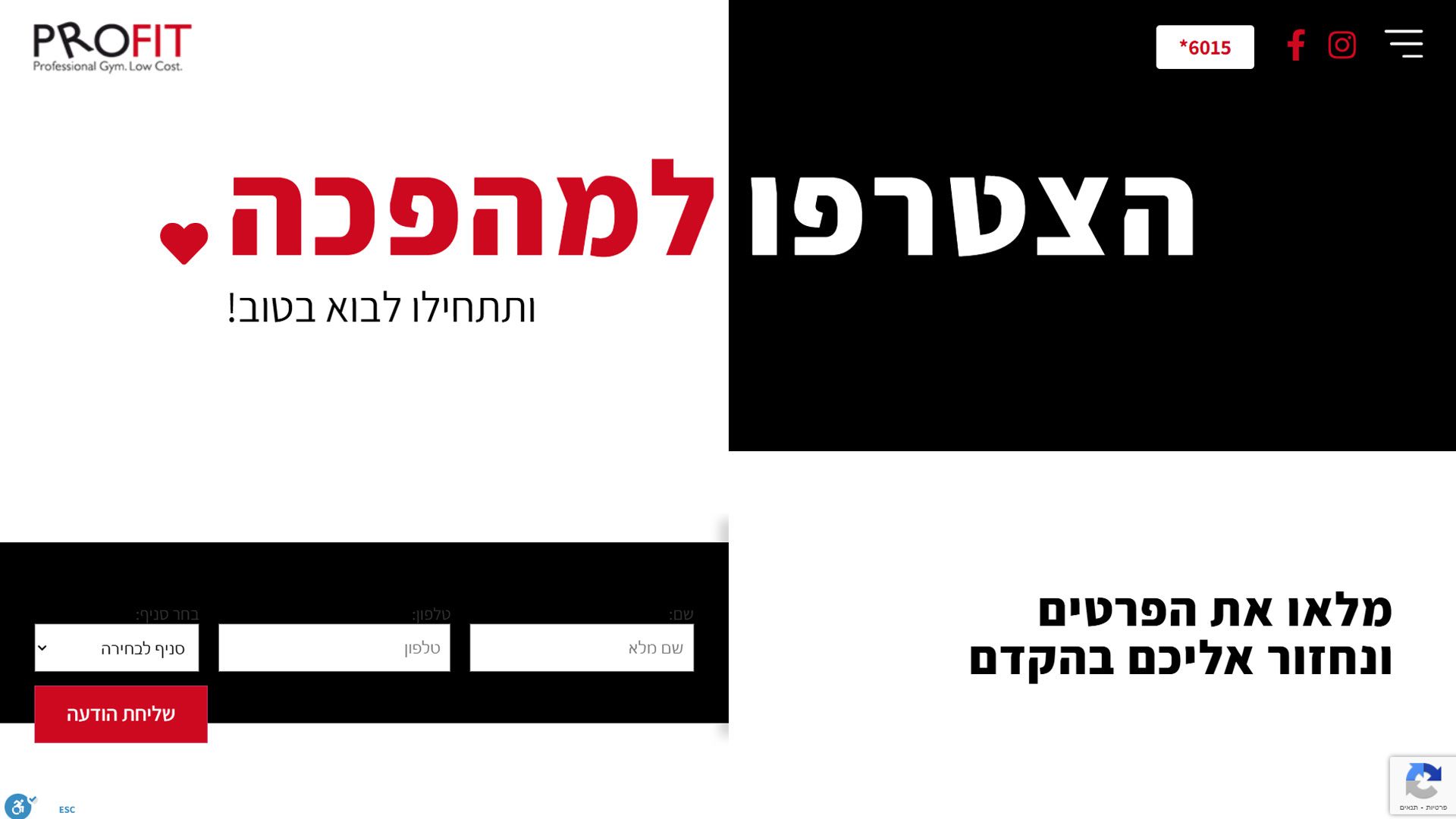 בניית אתר וורדפרס