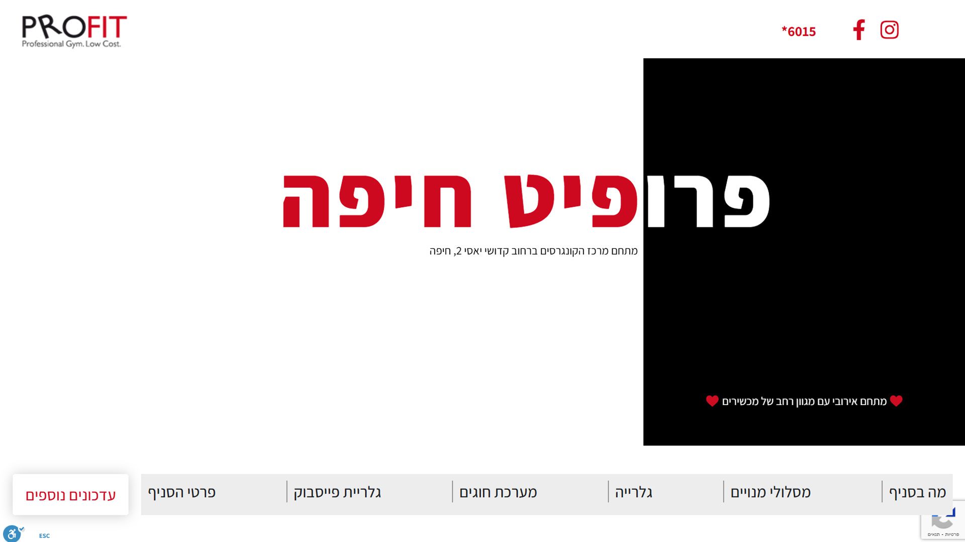 בניית אתר וורדפרס