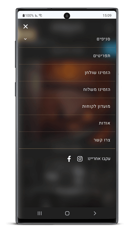 בניית אתר למסעדה